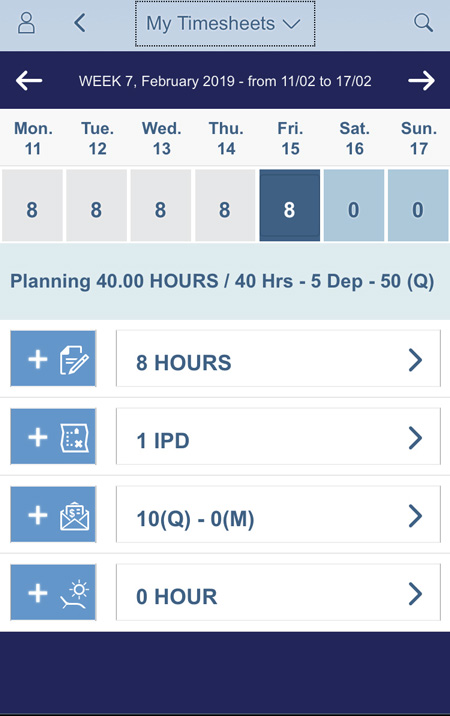 VINCI Fiori timesheet