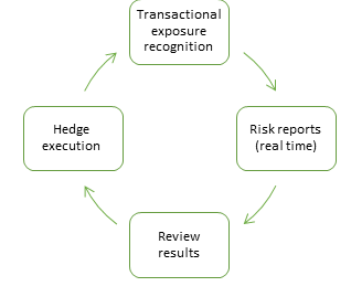 Figure 2 Daily risk management process on SAP HANA