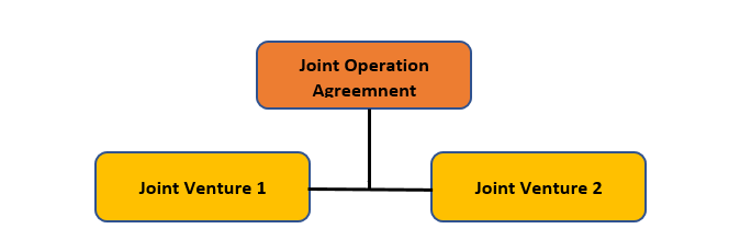 Figure 2—Joint venture agreement model
