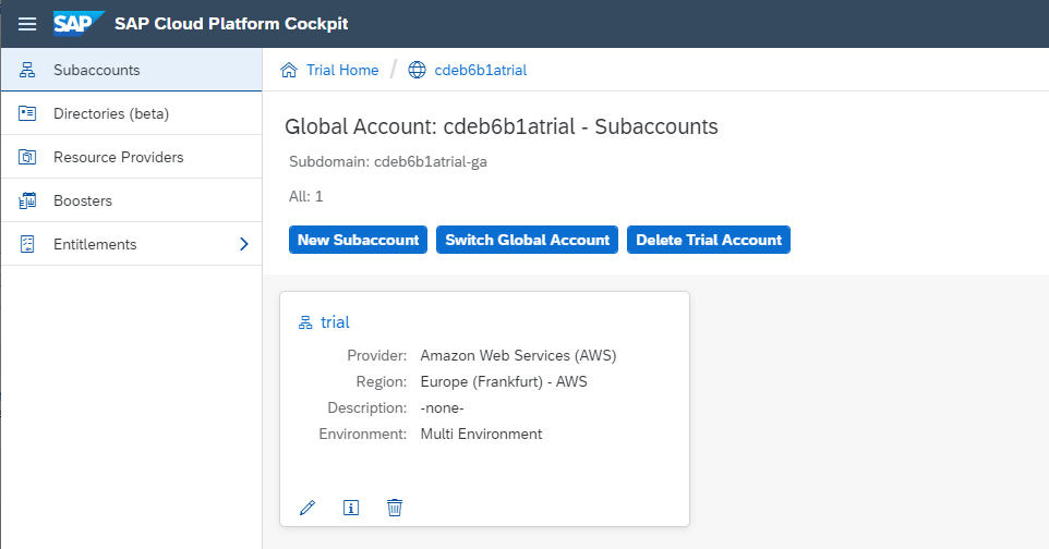 Figure 4 — Access the subaccount via the global account main page