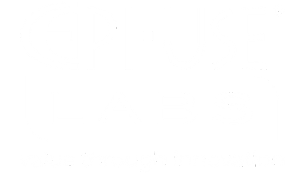 EPI-USE Labs Logo