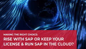 RISE with SAP or Cloud-Native?