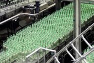 Hundreds of glass bottles with green caps moving along automated conveyor lines in a beverage bottling plant, representing the manufacturing operations behind Suntory Oceania's SAP S/4HANA transformation.